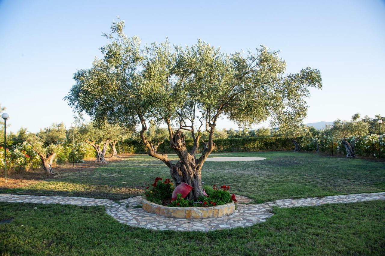 Agroktima Elia Apartment Nafplio Exterior photo